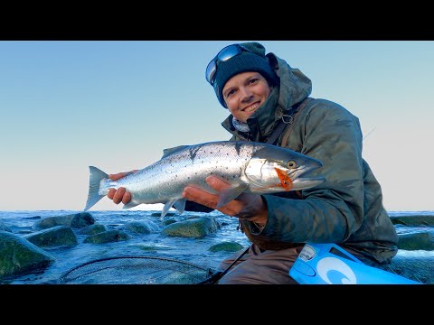 Видео: Зимняя мечта сбылась — ловля морской форели нахлыстом