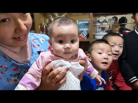 Видео: Асан Базеков Багбанчы-музыкант