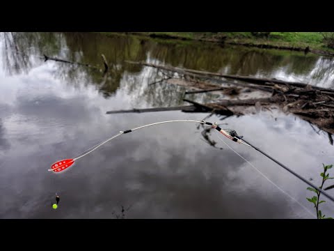 Видео: С БЕЗМОТЫЛКОЙ ПО РЕКЕ РЫБАЛКА НА БОКОВОЙ КИВОК.