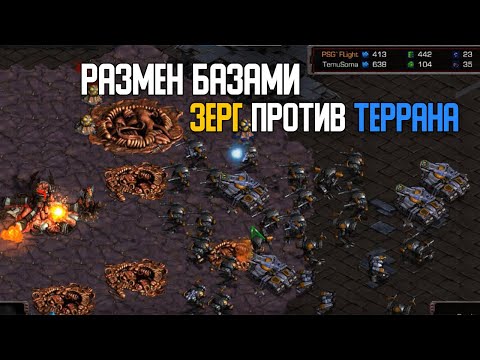 Видео: Старкрафт Z VS T Размен базами от корейцев!