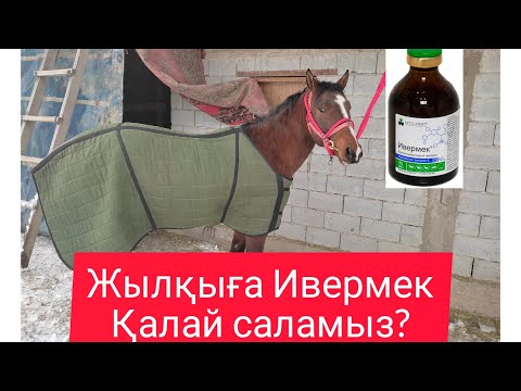 Видео: Жылқы емдеу, Жылқының құртын түсіру, Ивермек қалай саламыз?