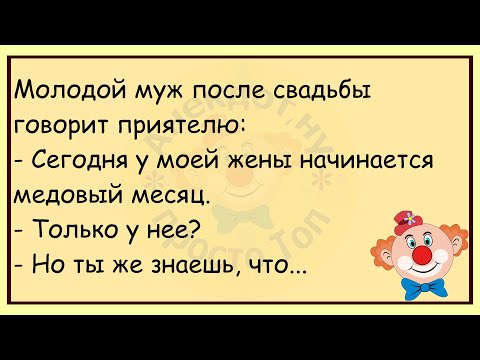 Видео: 🔥Стюардесса Заходит В Кабину Самолёта...Большой Сборник Весёлых Анекдотов,Для Супер Настроения!
