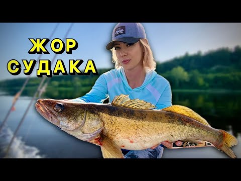 Видео: ВОНА ОБЛОВИЛА ВСІХ! ЗДОРОВЕННИЙ СУДАК НА ДЖИГ! ЖОР СУДАКА НА ДНІПРІ! РИБАЛКА НА СПІНІНГ 2024