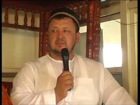 Видео: т-нұсқа "Жақсылардың бақшасы"-4 💚 АЛИ студиясы