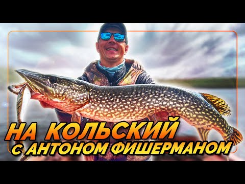 Видео: В поисках трофейной щуки на Кольский! #рыбалка_с_фишерманом