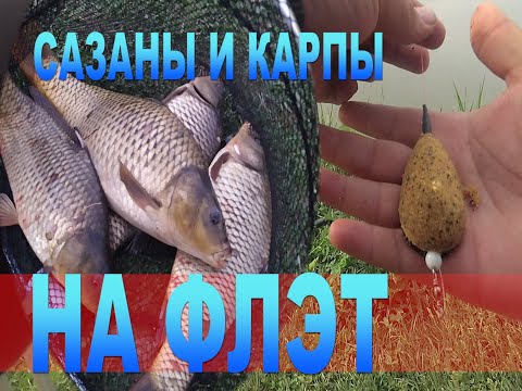 Видео: Рыбалка близ Алматы. НАЛОВИЛ САЗАНОВ И КАРПОВ. Озеро БЕНТ 2