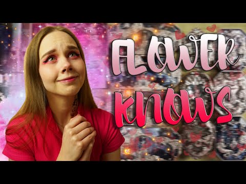 Видео: Распаковка косметики за 40 000 рублей! Обзор на Flower Knows