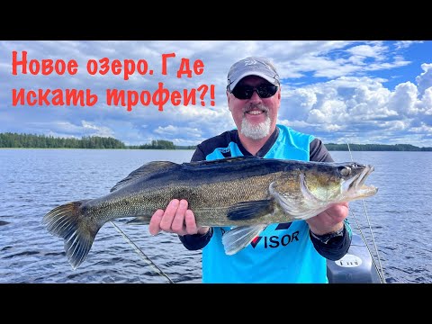 Видео: Поиск трофея на новом озере. Рыбалка с Паноптикс. Рыбалка в Финляндии.