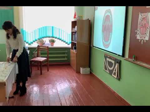 Видео: биология. открытый урок