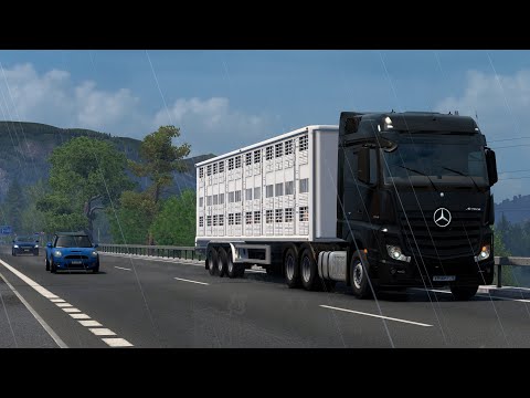 Видео: ETS2 + CS2 /w @heyseishiro | Запись стрима с Twitch