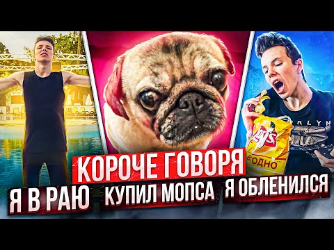 Видео: КОРОЧЕ ГОВОРЯ: Я В РАЮ, КУПИЛ МОПСА, ОБЛЕНИЛСЯ [Сборник] + Эксклюзив!