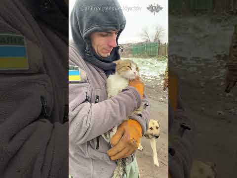 Видео: Всім, хто переміг окупацію присвячується. Евакуація тварин із с. Кам'янка