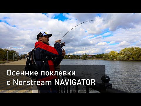 Видео: Легкий джиг с Norstream Navigator | Судак, Щука, Street Fishing