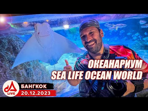 Видео: Океанариум в Бангкоке 🔴 SEA LIFE Bangkok Ocean World