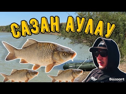 Видео: Cазан аулау Паталок рыбалка Саласын аласын балық толып тұр!