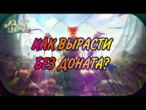 Видео: Ant Legion - БЕЗ ДОНАТА или как копить  чтобы расти  | How to accumulate and when to spend?(eng sub)