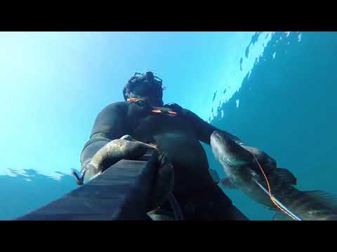 Видео: Подводная охота на судака! Мыс Токмак... 31.03.2019г.