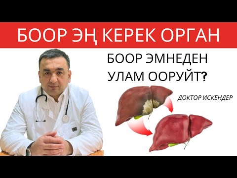 Видео: БООРУ ООРУГАНДАР ТЕЗ КӨРСҮН! БООР ЭМНЕГЕ ООРУЙТ? БООР ООРУГАНДА КИМГЕ КАЙРЫЛУУ КЕРЕК?