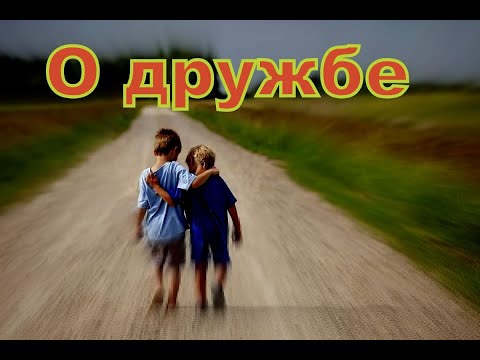 Видео: О дружбе