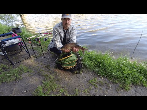 Видео: Рыбалка с ночевкой на фидер Рузское водохранилище.