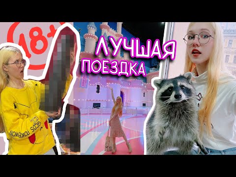 Видео: ЭРОМУЗЕЙ, Кафе с енотами, "Диснейленд" и торты от "КОНДИТЕРА"/ ВЛОГ из Москвы