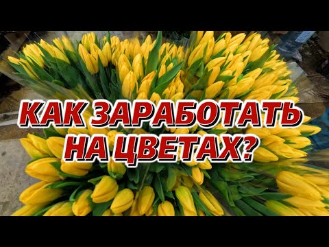 Видео: Бизнес на тюльпанах: или почему цветы стоят так дорого?