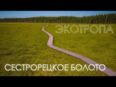 Видео: ЭКОТРОПА СЕСТРОРЕЦКОЕ БОЛОТО