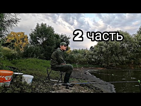 Видео: ПРИШЕЛ ЛОВИТЬ ТОЛСТОЛОБА И... *2 часть*