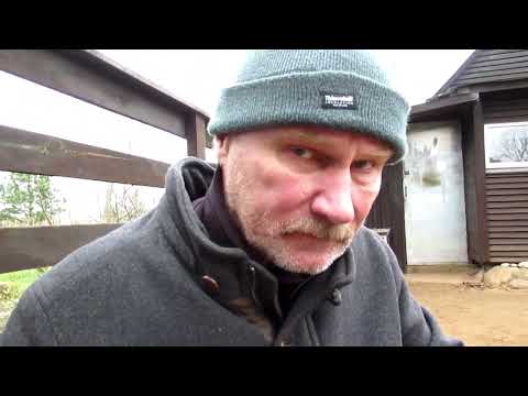 Видео: Боуи.Ответ на вопрос Б.Гайденко.