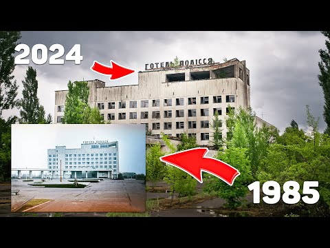 Видео: Чернобыль Спустя 38 лет | Дикая природа Зоны Отчуждения