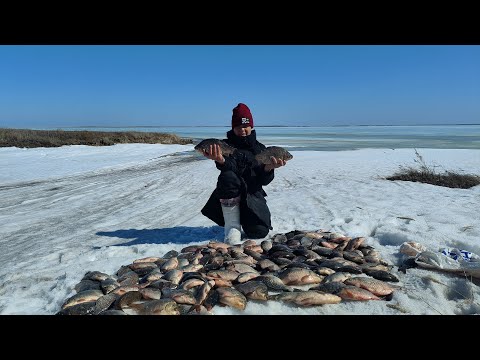 Видео: Караси-кабаны озера Чаны, шикарная рыбалка с сыном озеро Чаны, апрель 2023 (часть 2)