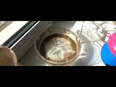 Видео: Выведение науплий артемии без аэрации