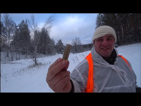 Видео: Охота на лося. сезон 2023 г. 1 часть