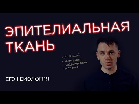 Видео: Эпителиальная ткань I ЕГЭ Биология | Даниил Дарвин | Вебиум