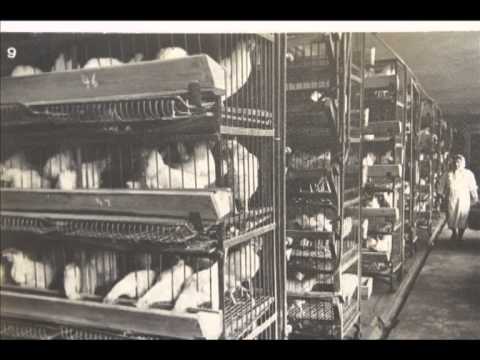 Видео: Коммунарка.Фильм.От и До.