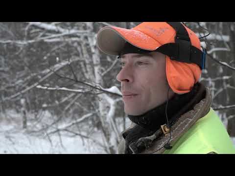 Видео: Охота в Самарской области. Охота на лося "За лесным великаном..."