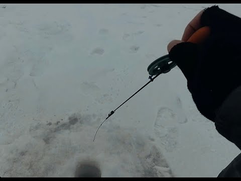 Видео: Зимняя рыбалка #3!