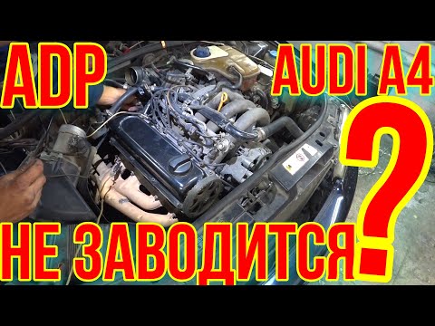 Видео: НЕ ЗАВОДИТСЯ Audi A4 ОСНОВНЫЕ ПРИЧИНЫ.