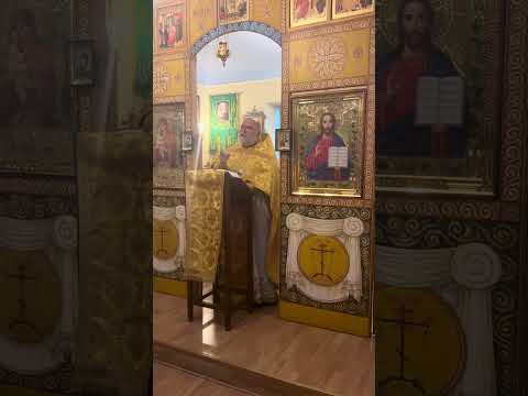 Видео: С Воскресным днём! 09.11.25