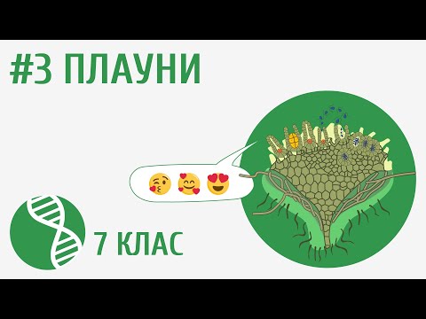 Видео: Плауни #3