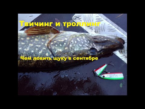 Видео: Твичинг и троллинг  Чем ловить щуку в сентябре