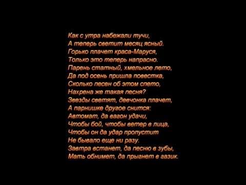 Видео: Кошка Сашка - Враг