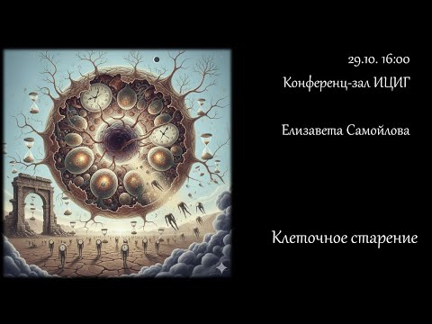 Видео: Клеточное старение