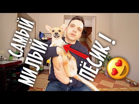 Видео: Необычный дом! Тусим с девчонками! 😁