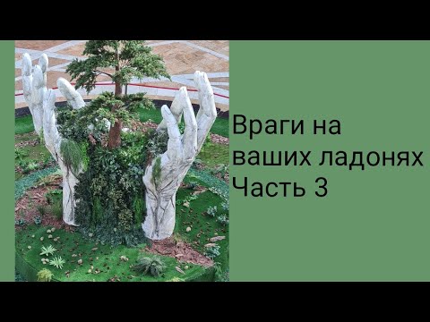 Видео: Враги на ваших ладонях. Часть 3