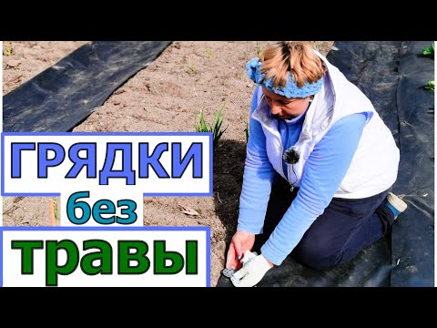 Видео: Дорожки в огороде без сорняков! НЕ красиво, зато полоть не надо. Лайфхак по крепежам