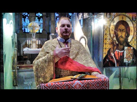 Видео: Проповідь отця Ігоря Демківа 11 листопада 2025 року Божого