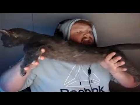 Видео: Клипы, которые сделали CaseOh знаменитым