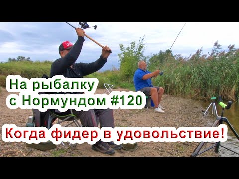 Видео: Когда фидер в удовольствие! / На рыбалку с Нормундом #120