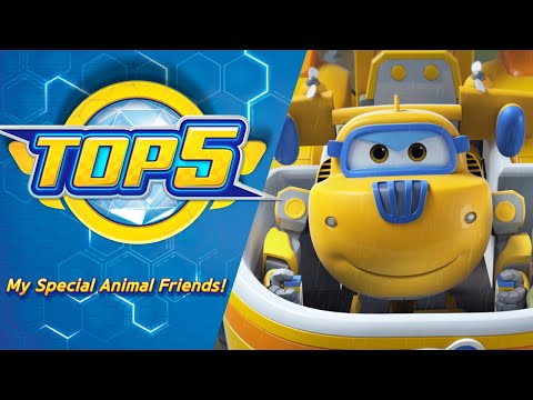 Видео: [Рейтинговое шоу Superwings] Мои особенные друзья-животные! Топ-5